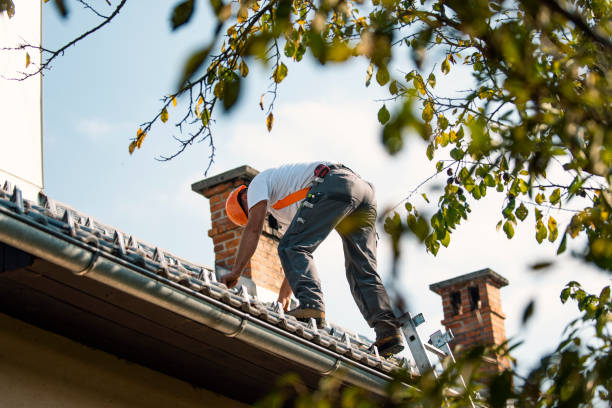 Best Roof Gutter Cleaning  in Philippi, WV