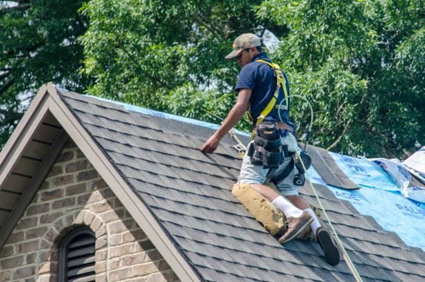 Best Storm Damage Roof Repair  in Philippi, WV